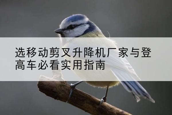 桓仁电动升降机厂家-选移动剪叉升降机厂家与登高车必看实用指南