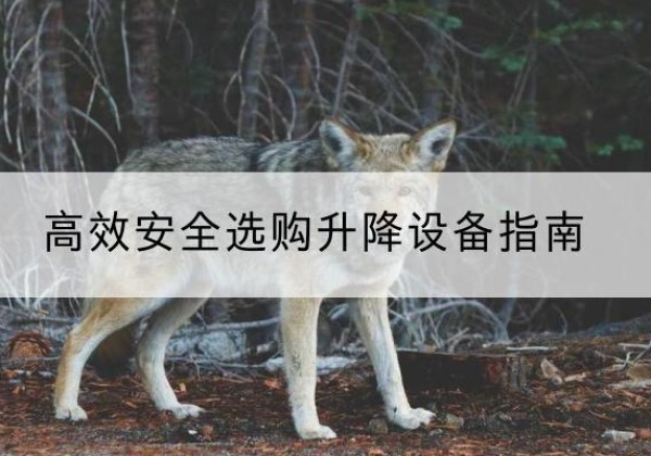 桓仁升降货梯厂家推荐-*安全选购升降设备指南