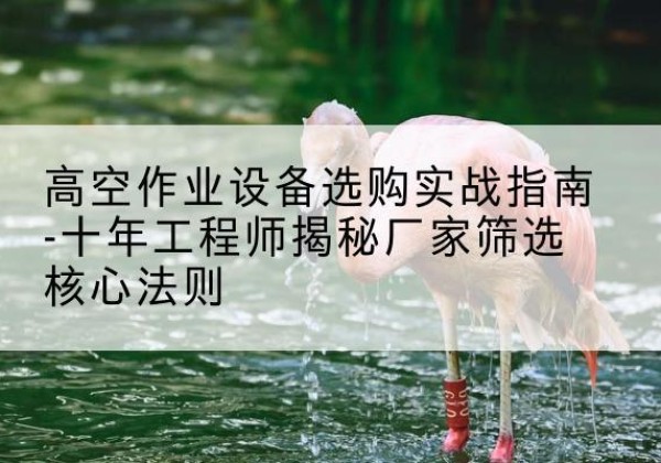 桓仁剪叉式升降机厂家-高空作业设备选购实战指南-十年工程师揭秘厂家筛选核心法则